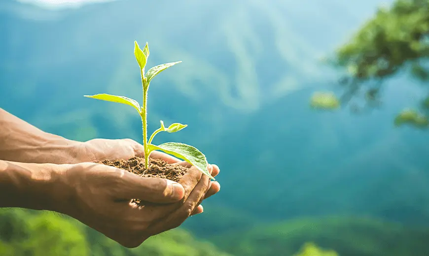 educación ambiental